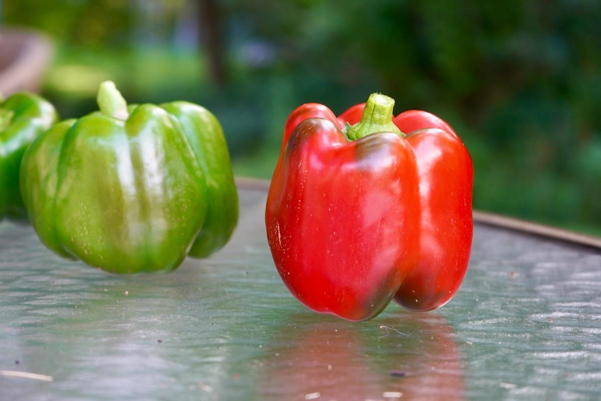 Red and green bell peppers