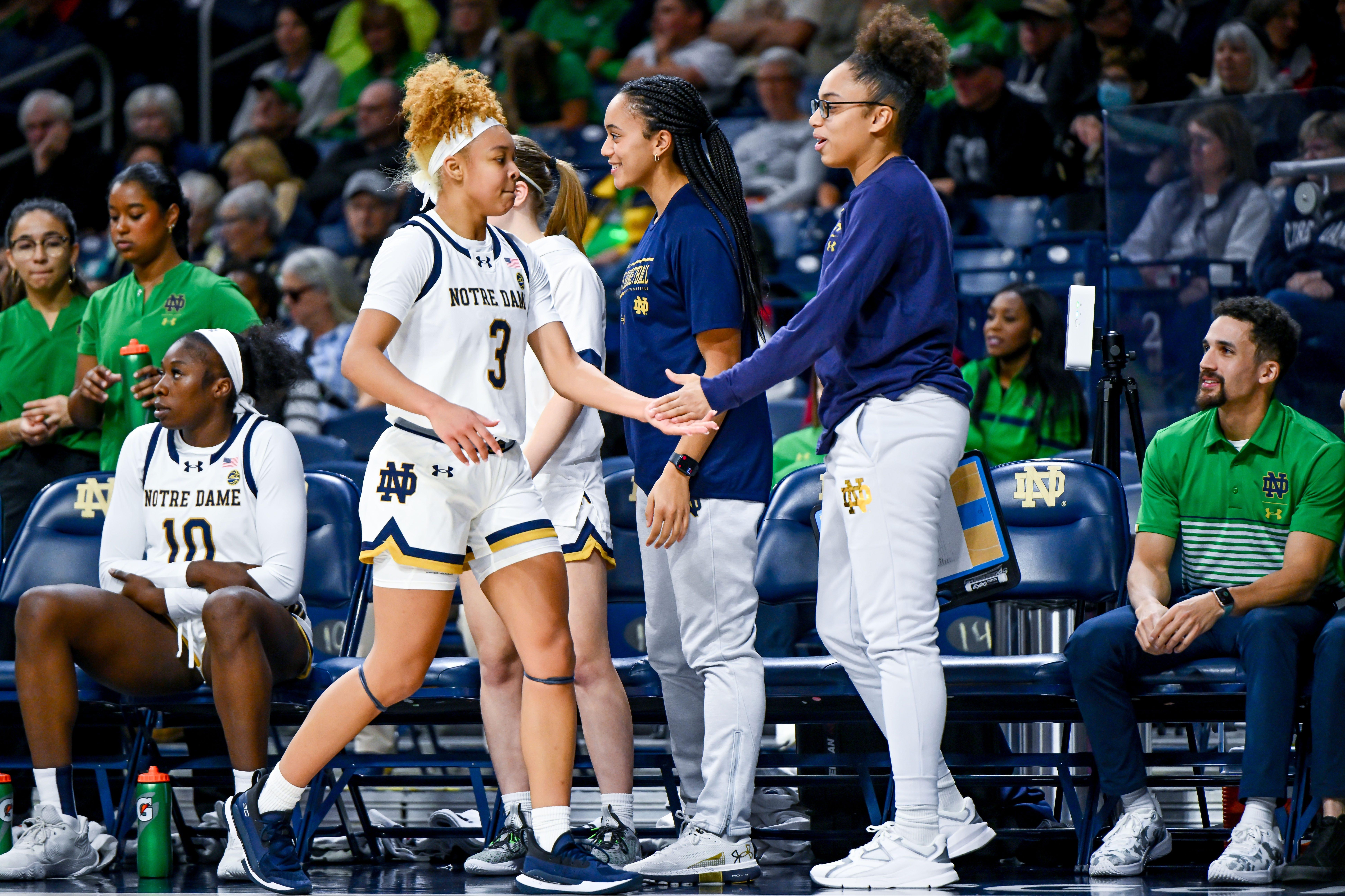 Nov 15, 2023; South Bend, Indiana, USA; Notre Dame Fighting Irish guard Hannah Hidalgo (3) greets guard Olivia Miles (5) on the bench in the first half against the Northwestern Wildcats at the Purcell Pavilion. Mandatory Credit: Matt Cashore-USA TODAY Sports