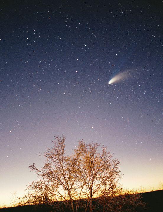 Two people in a field looking at a large, two-tailed comet.