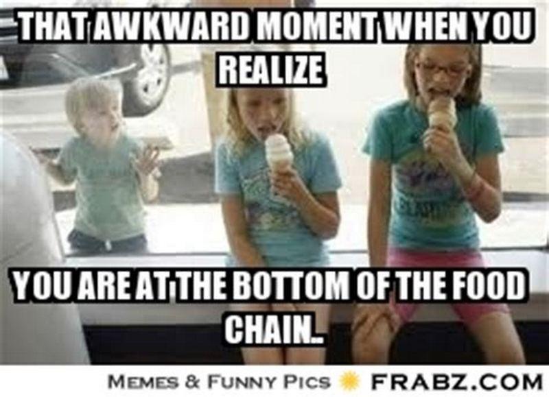 "That awkward moment when you realize you are at the bottom of the food chain."