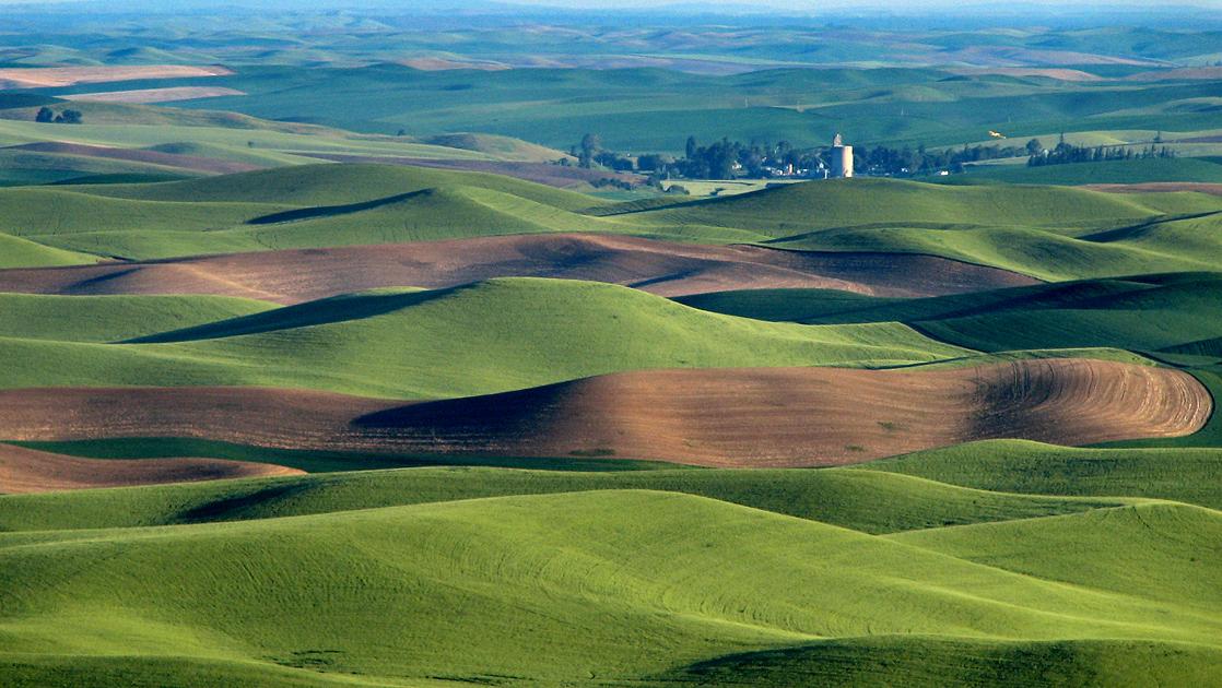 Aerial photograph showing a vast field of giant ripples. The ridges of the ripples are oriented east-west, and spaced about 300 feet apart.