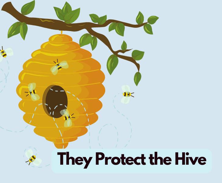 they protect the hive