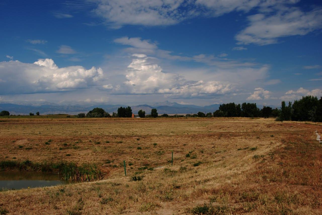 Open field in Erie