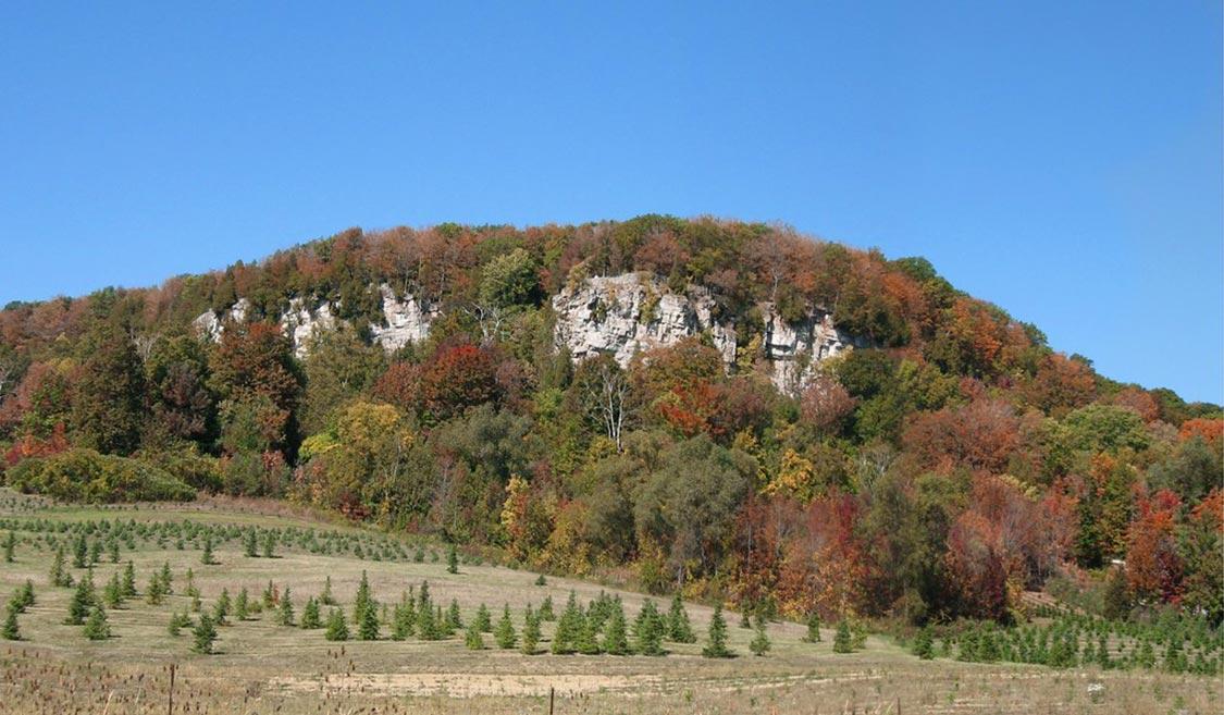 Fall Colour in Rattlesnake Point Ontario