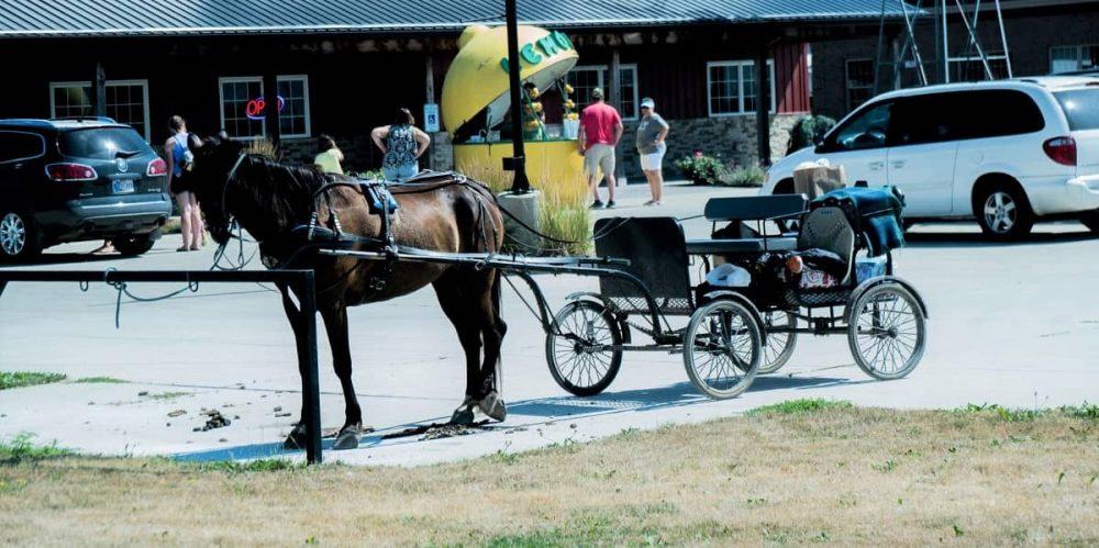 Horse-drawn buggy ride in Shipshewana