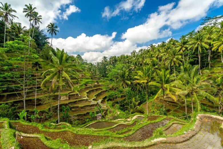 Ubud, Bali