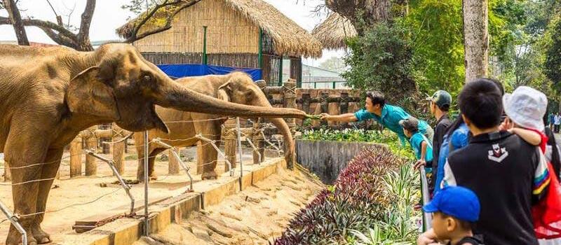 Visit One of the Oldest Zoos in the World