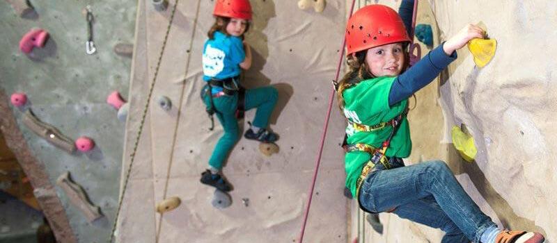 Try Wall Climbing at the Bee Bee Land