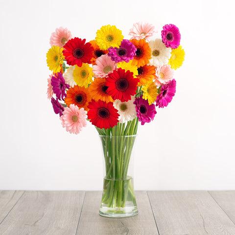 gerbera daises bouquet