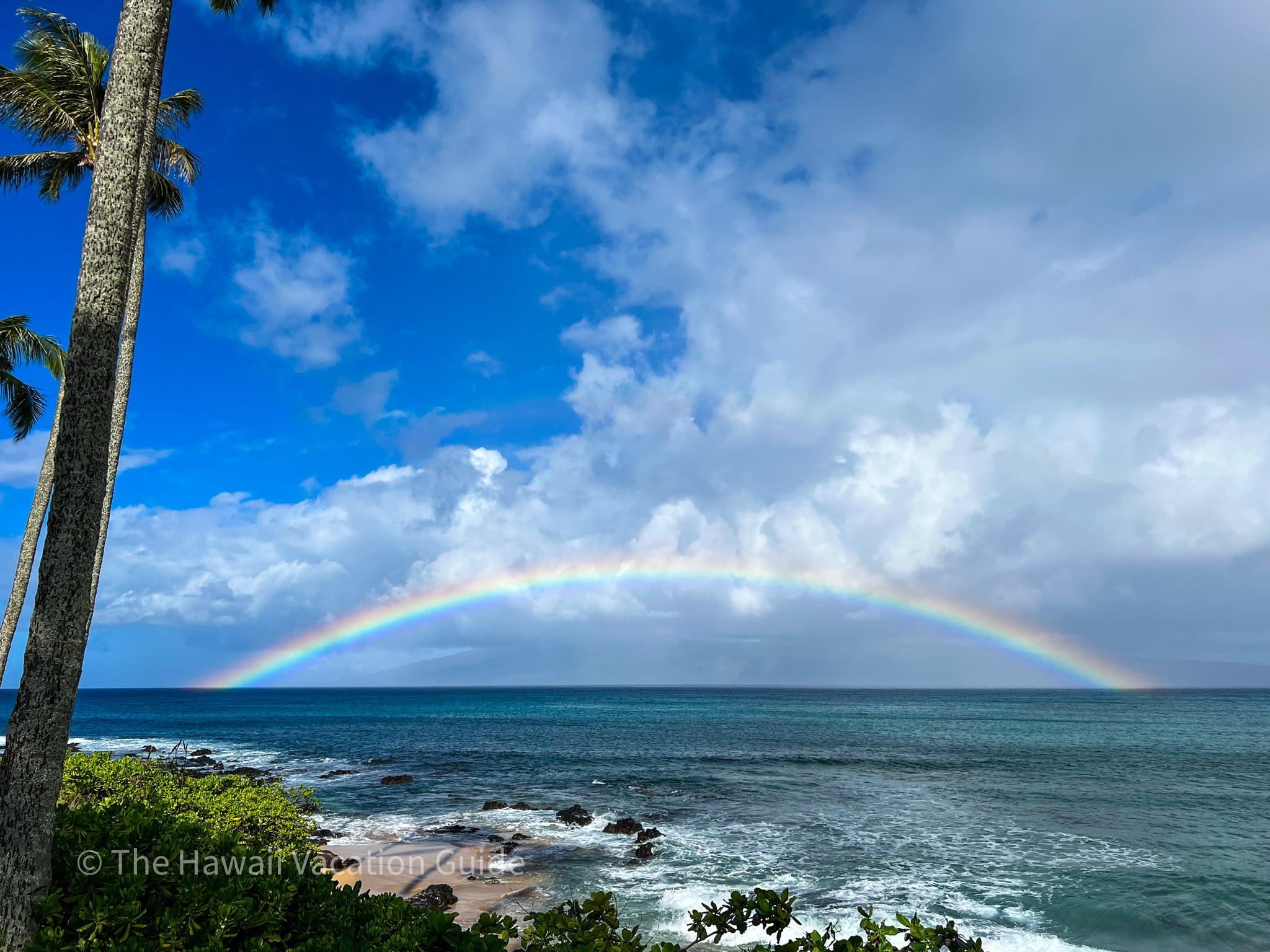 best Hawaiian island for whale watching -