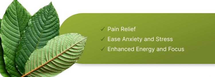 Different Kratom Strains and Veins Effects