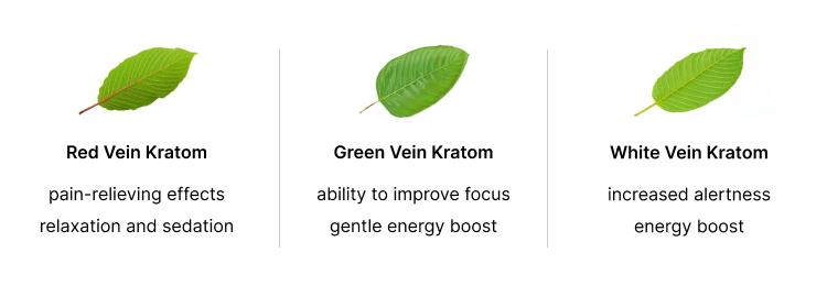 Differences Between Red, Green and White Kratom Veins