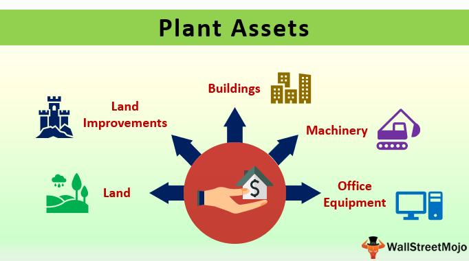 Diagram with types of plant assets
