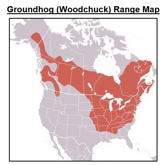 american red squirrel range map