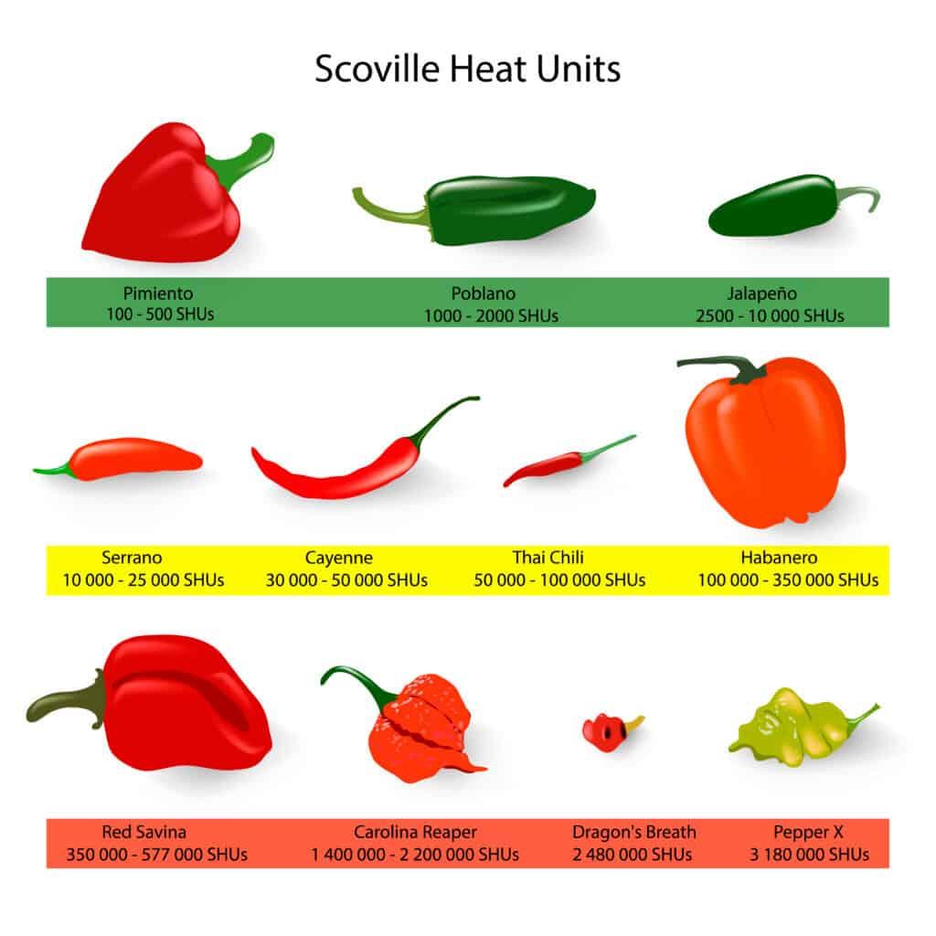 Scoville scale of chilli peppers spiciness