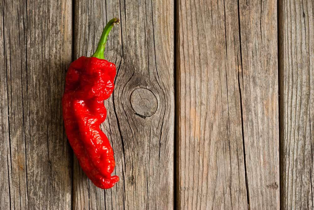 ghost pepper