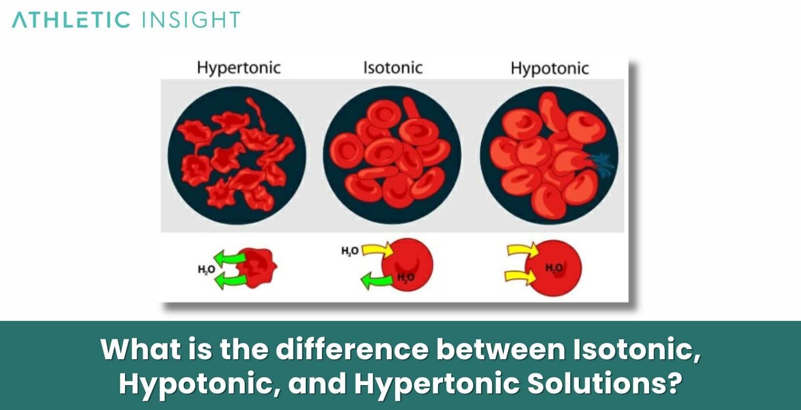 What is the difference between Isotonic Hypotonic and Hypertonic Solutions 1