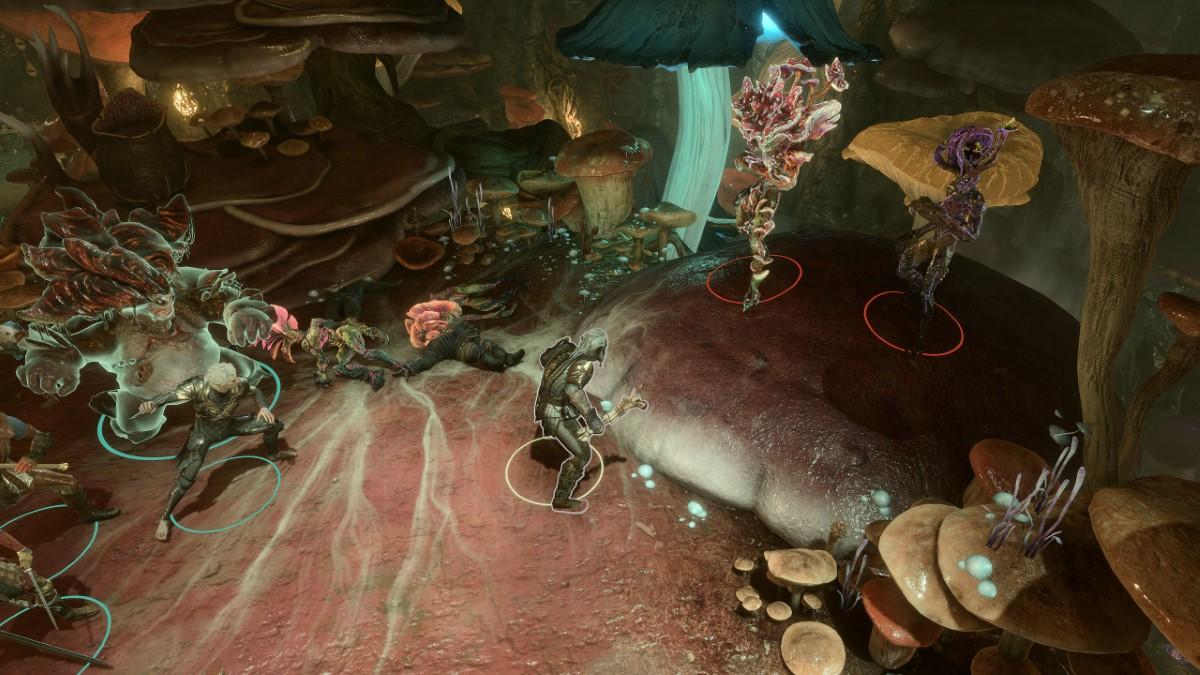 A screenshot of a fight surrounded by mushrooms in Baldur