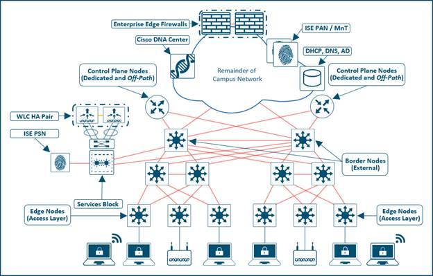 Physical Topology - Medium Site Reference Design