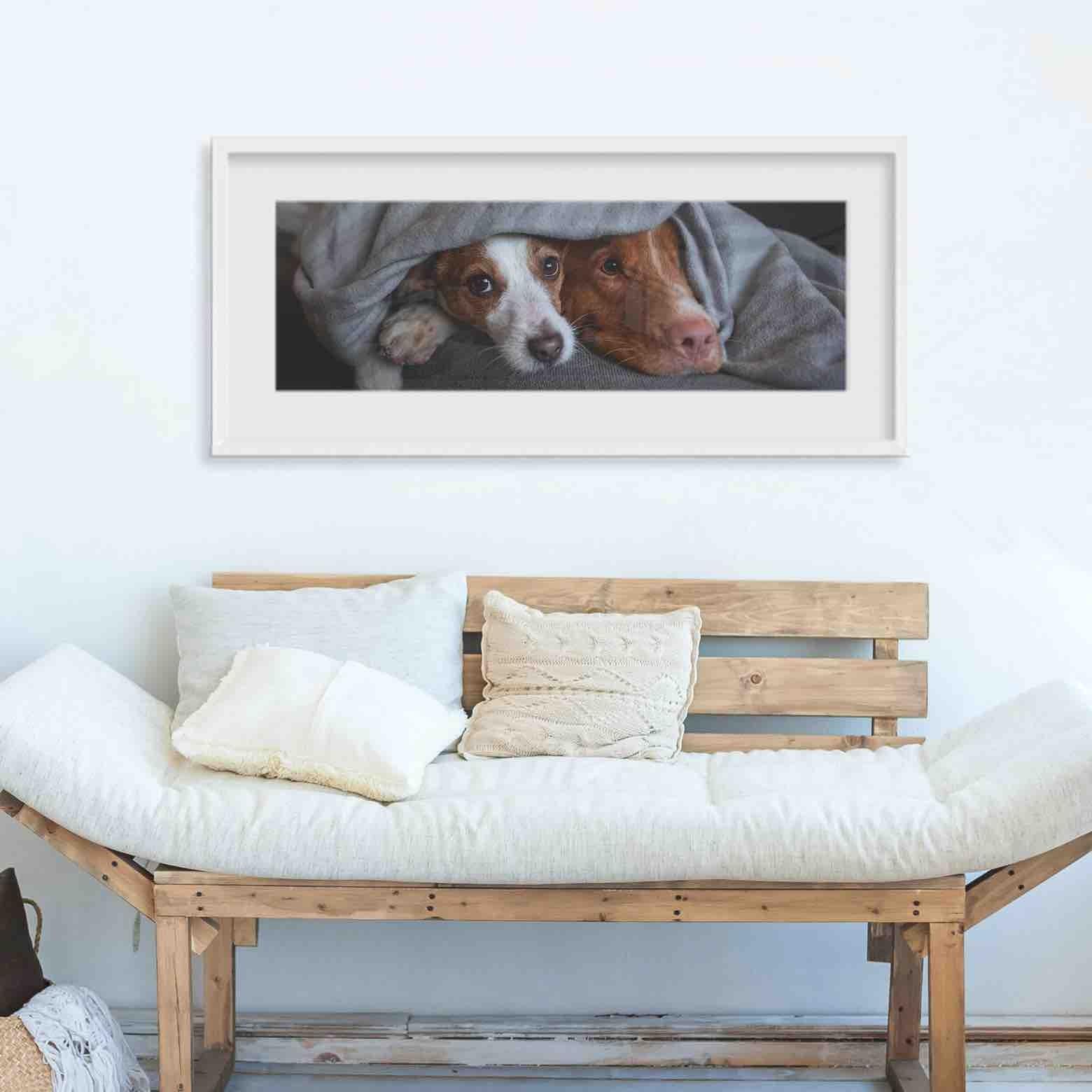 Panoramic Photo of Two Dogs Framed and Printed at Posterjack