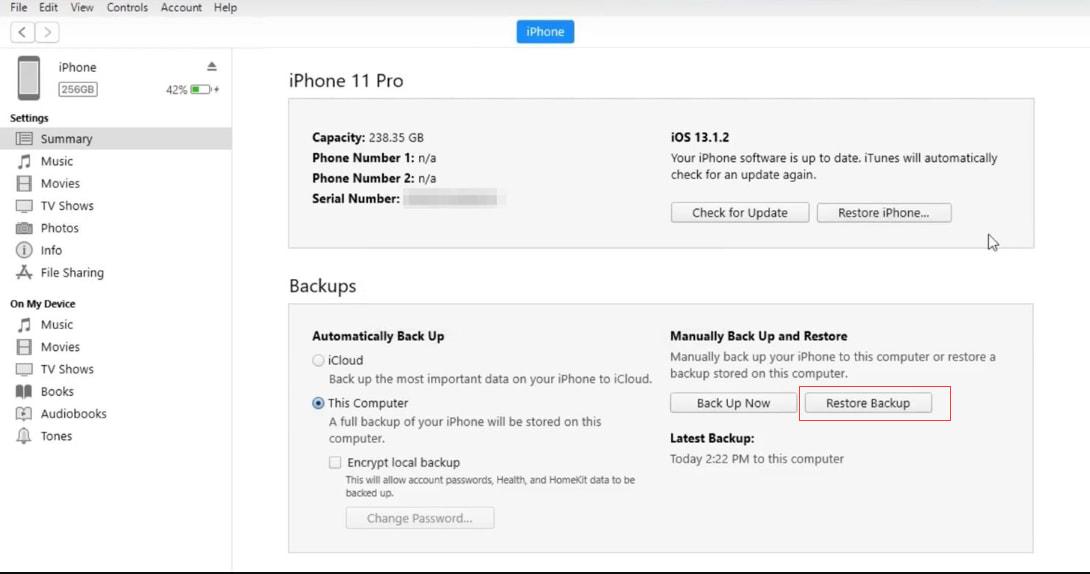 Restore Backup by iTunes