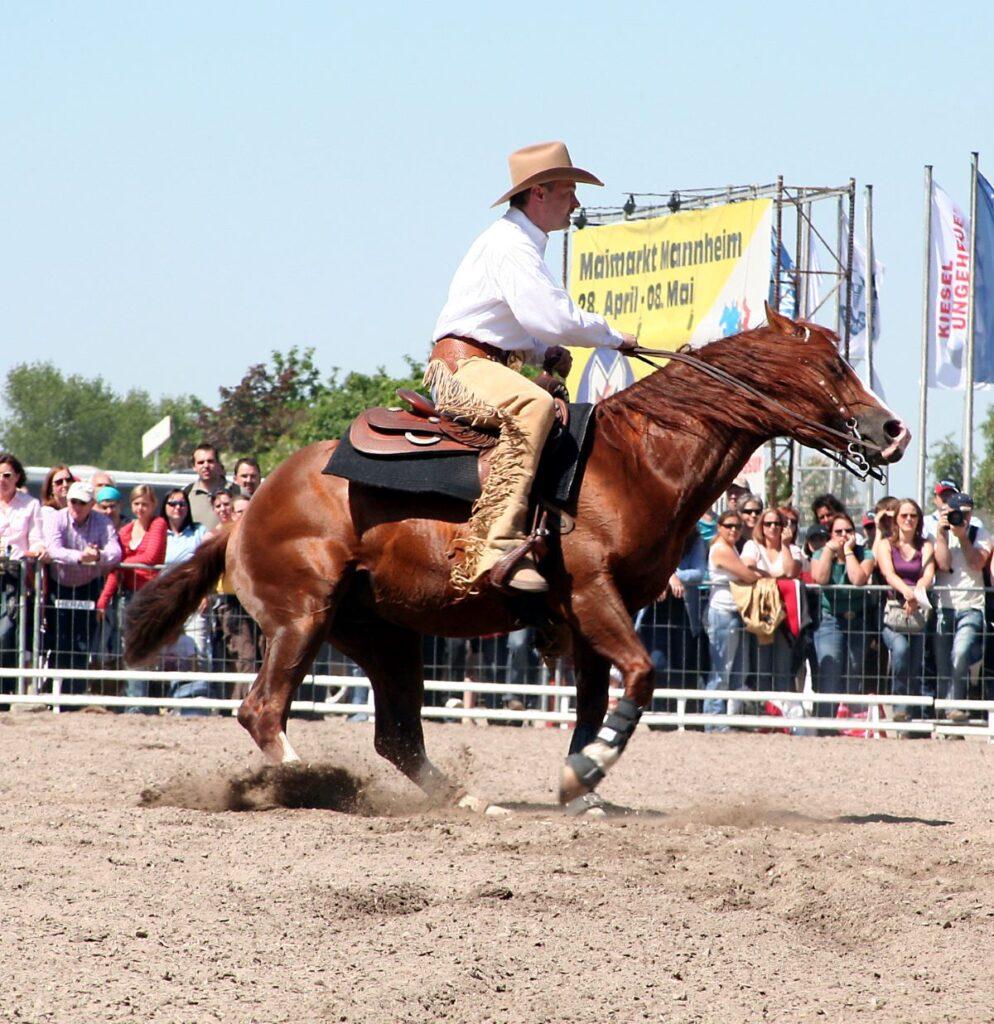 chaps on horse