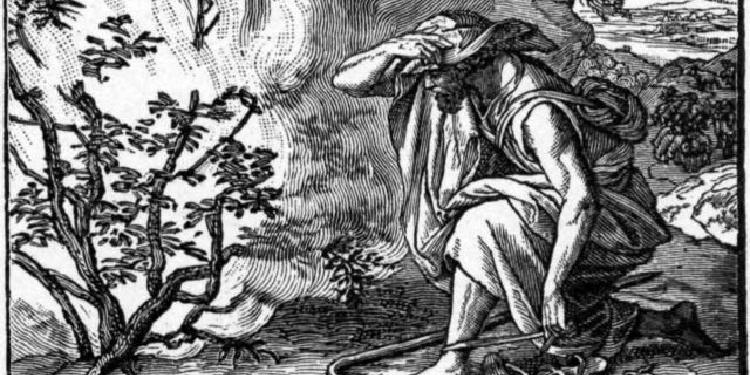 Moses sees the Burning Bush in the wilderness.