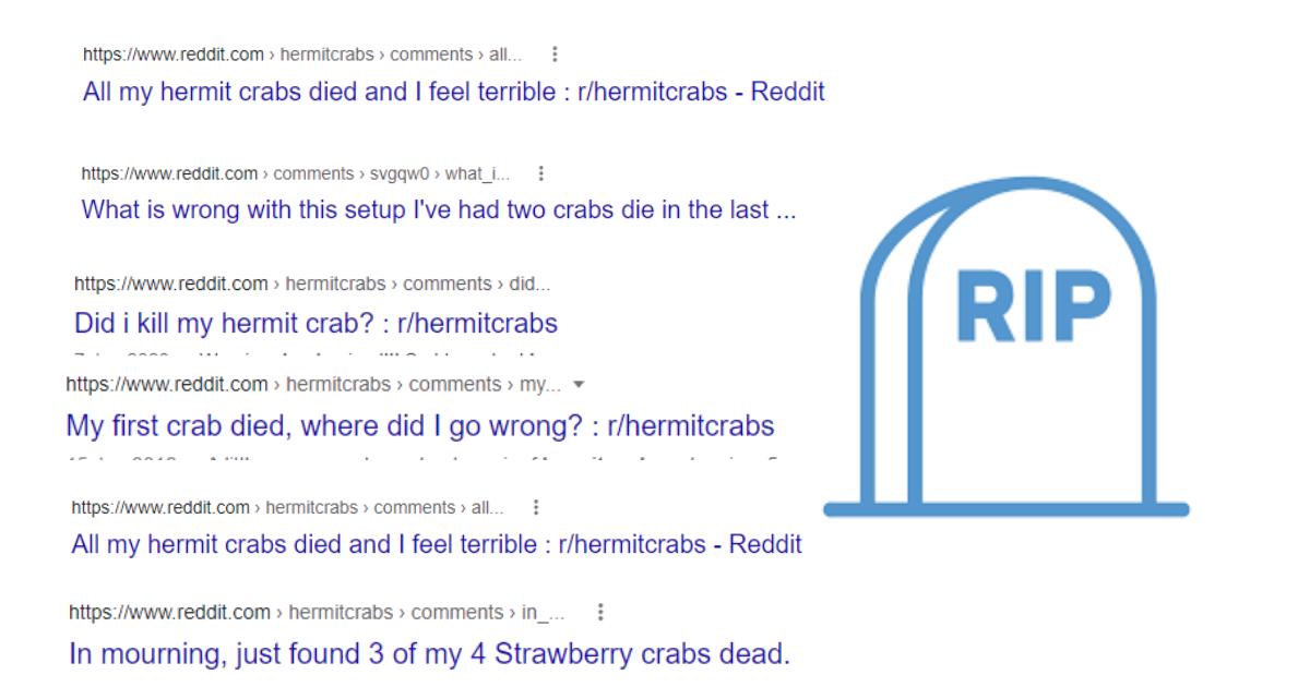 why did my hermit crab die