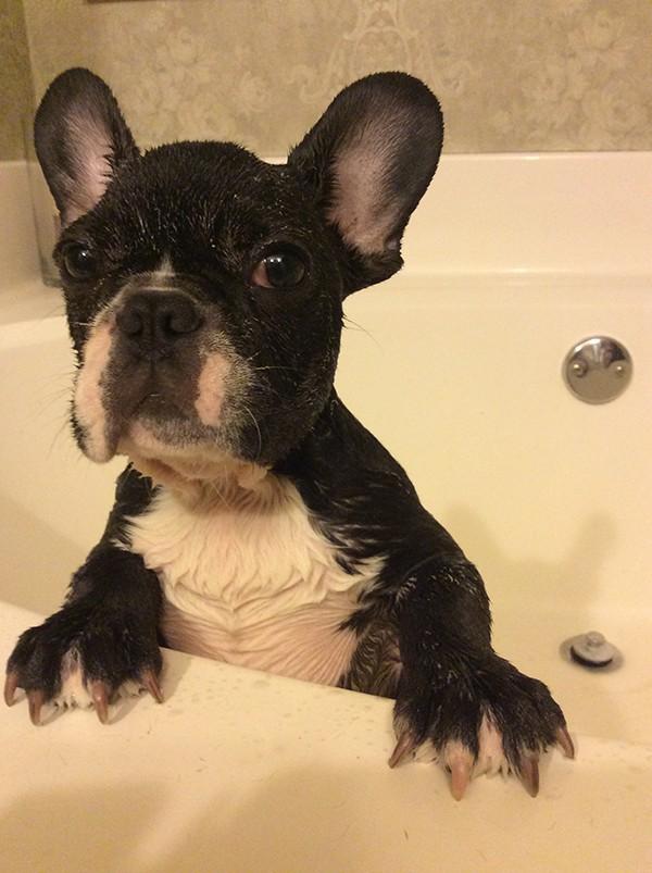 In the early days, I’m sure he’d rather stink than get a bath.