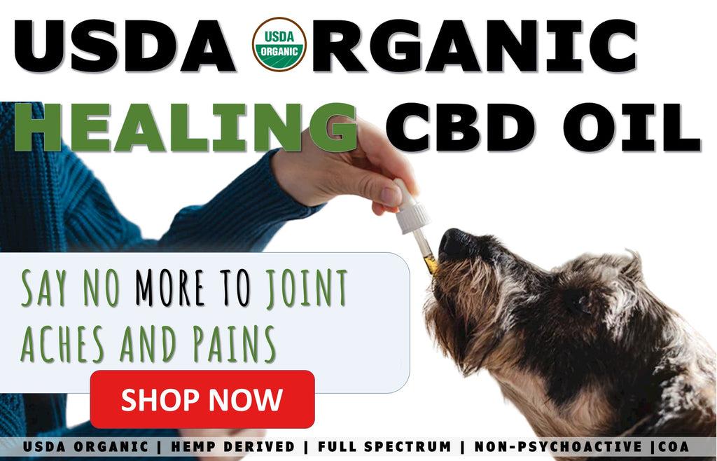 CBD oil for dogs joint aches and pains by Momma Knows Best