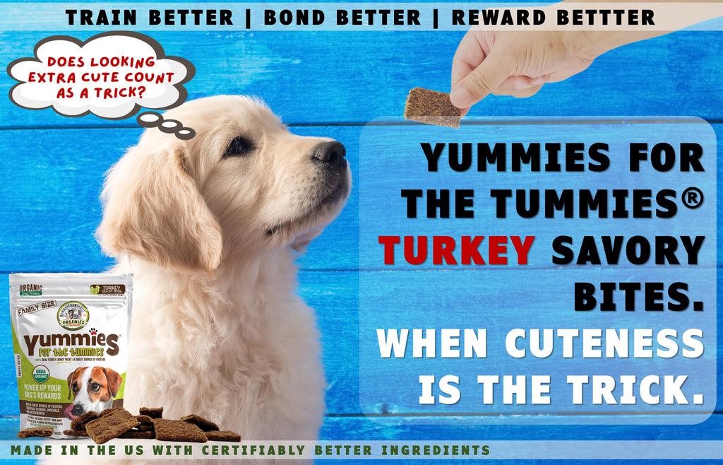 dog treat yummies for the tummies turkey savory bites by Momma Knows Best_3