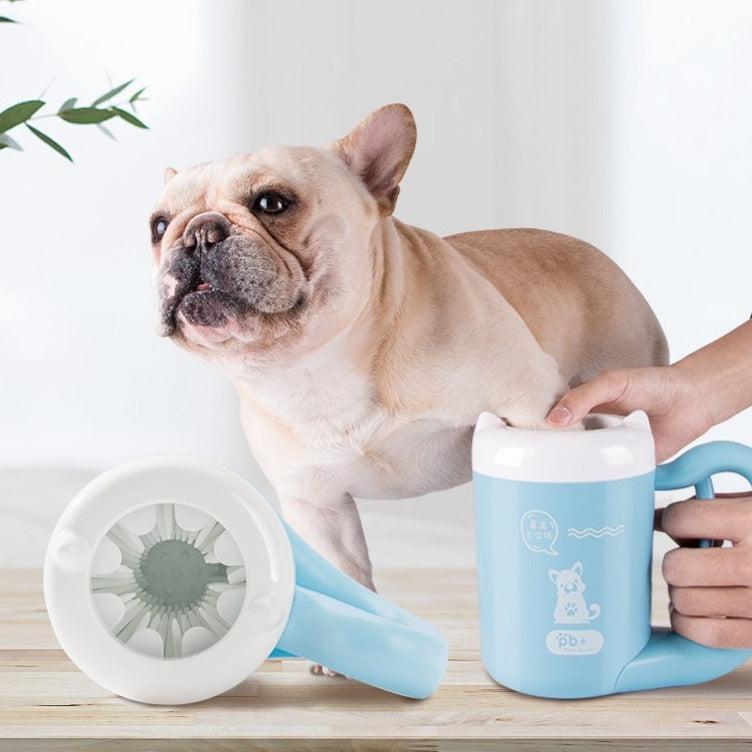 5 Reasons Why Do French bulldog Lick Their Paws?