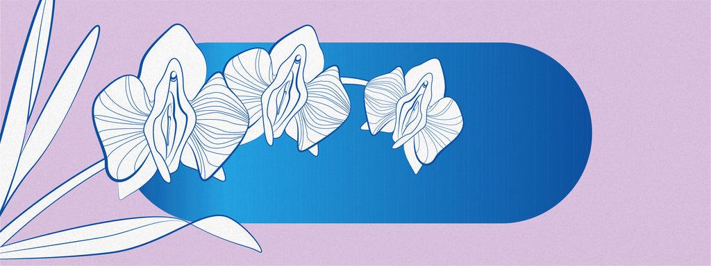 Three vulva shaped flowers are over a pink and blue background.