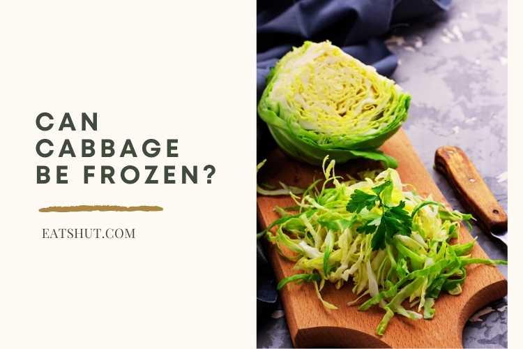 Can Cabbage Be Frozen