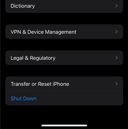 Transfer or reset settings on iPhone