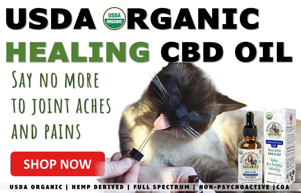 CBD oil for cats_aches and pains_ by Momma Knows Best