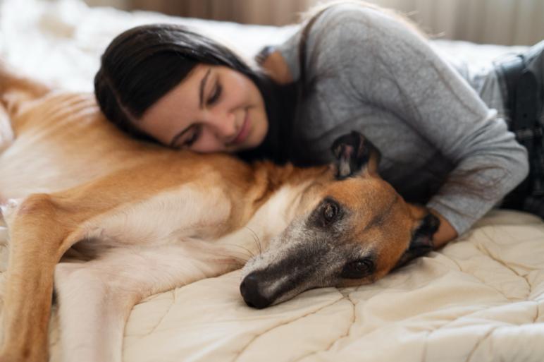 Dog and parent lying on the bed