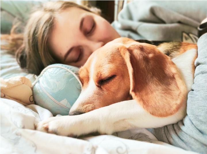 Dog and parent sleeping