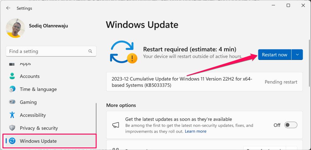 "Windows Update" settings page in Windows 11
