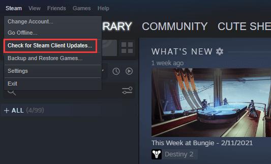 update Steam