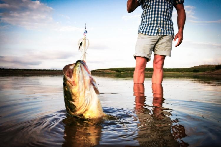 Why is Bass Fishing so Popular - Bass Fisherman