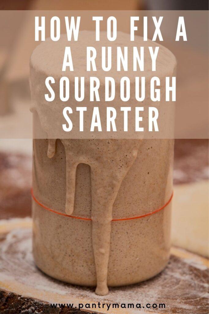 Why Is My Sourdough Starter Runny?