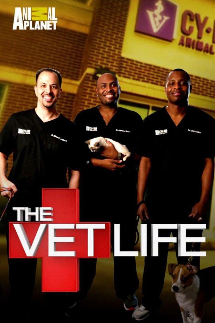 The Vet Life Season 7: Release Date, Time & TV Channel