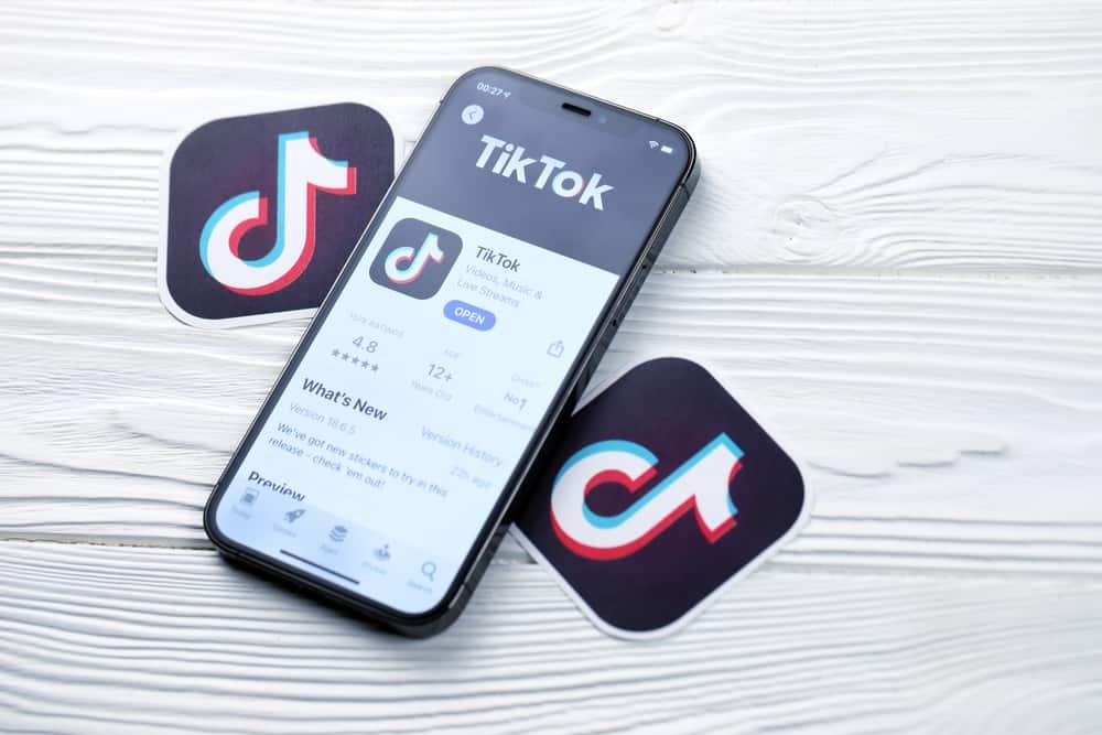tiktok app with logo