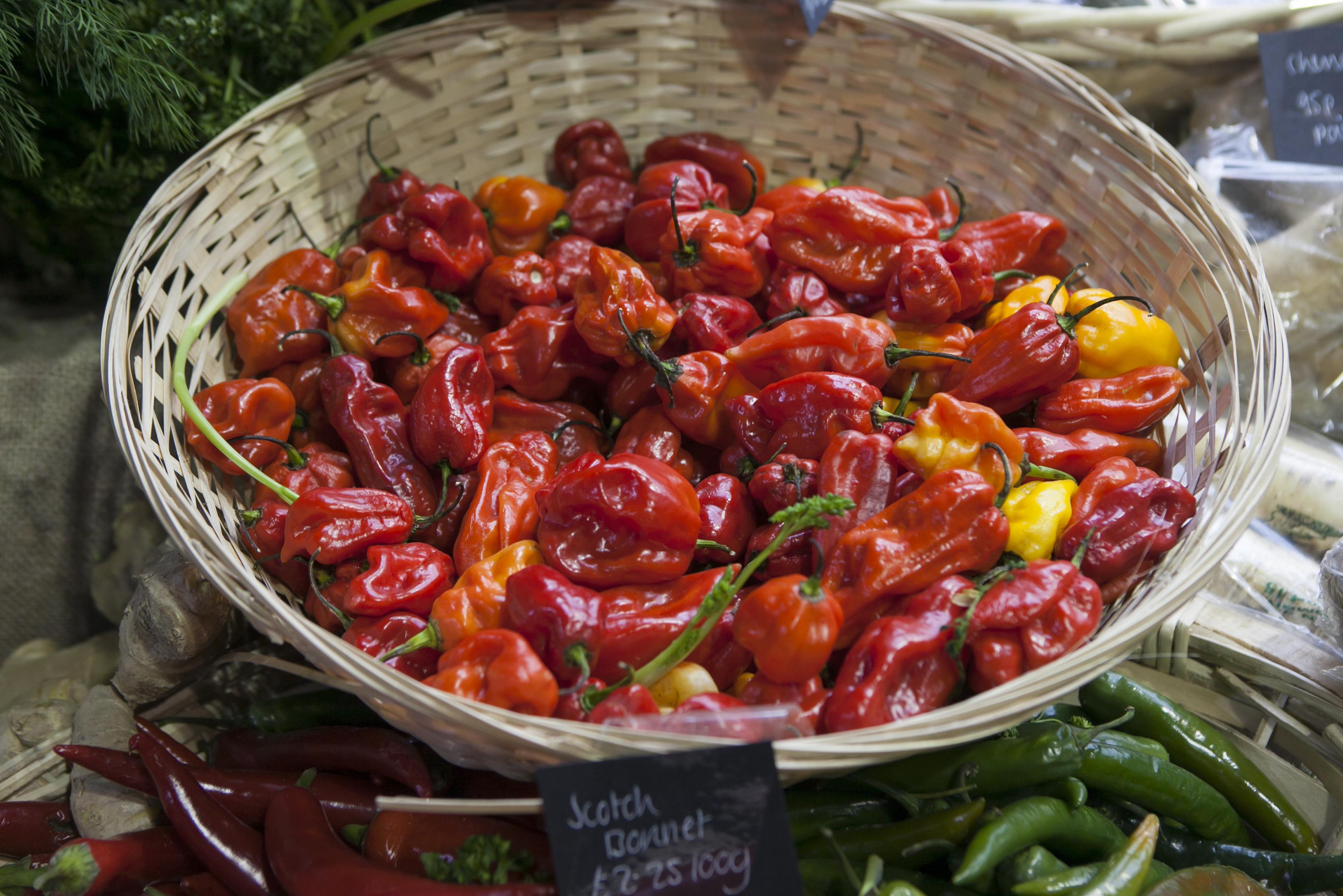 Cutting extremely hot Scotch Bonnet Peppers can burn through your gloves!