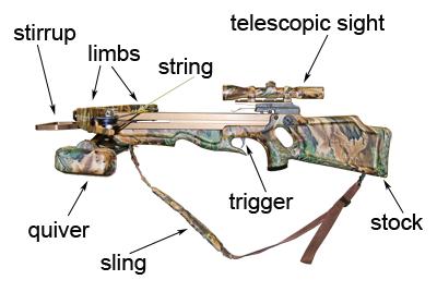 student drawing bow