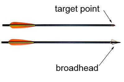 row of young archers drawing bows