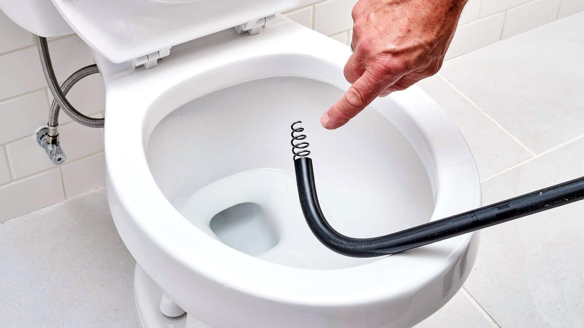 Remove Items Toilet Trap
