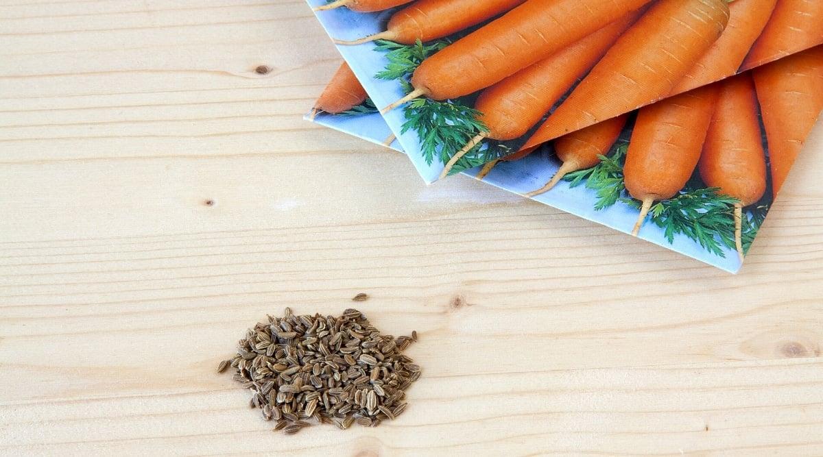 Close-up of carrot seeds and carrot seed sachets on a light wooden table. Carrot seeds are small, oval, brown in color with a slightly rough surface. Seed bags have an image of ripe carrots.