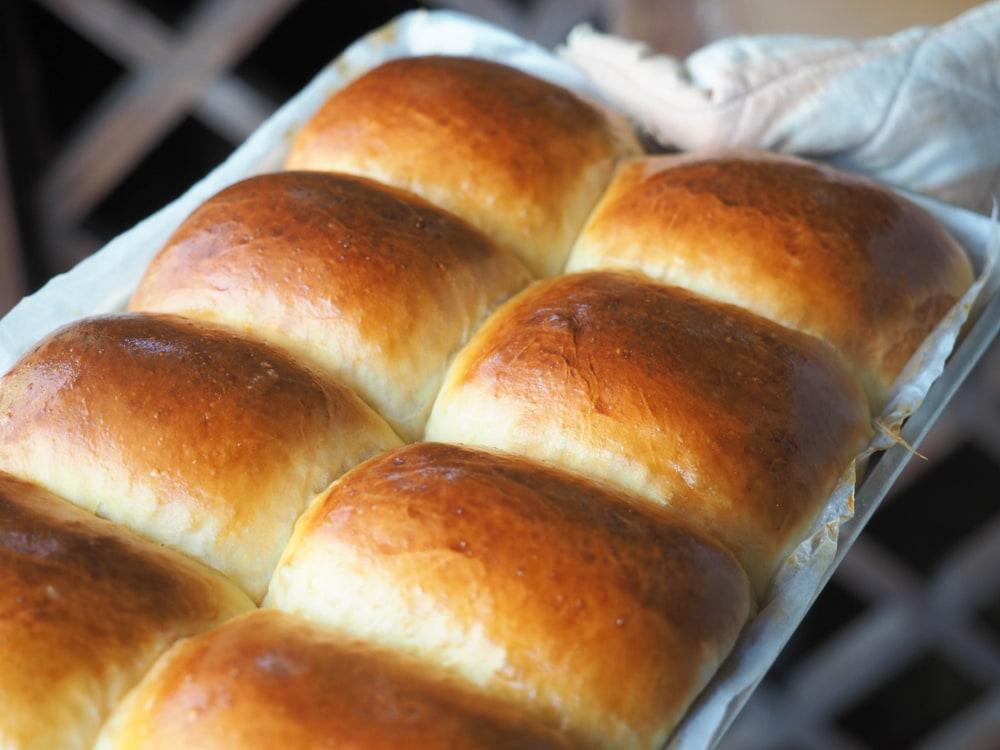 Dinner Rolls